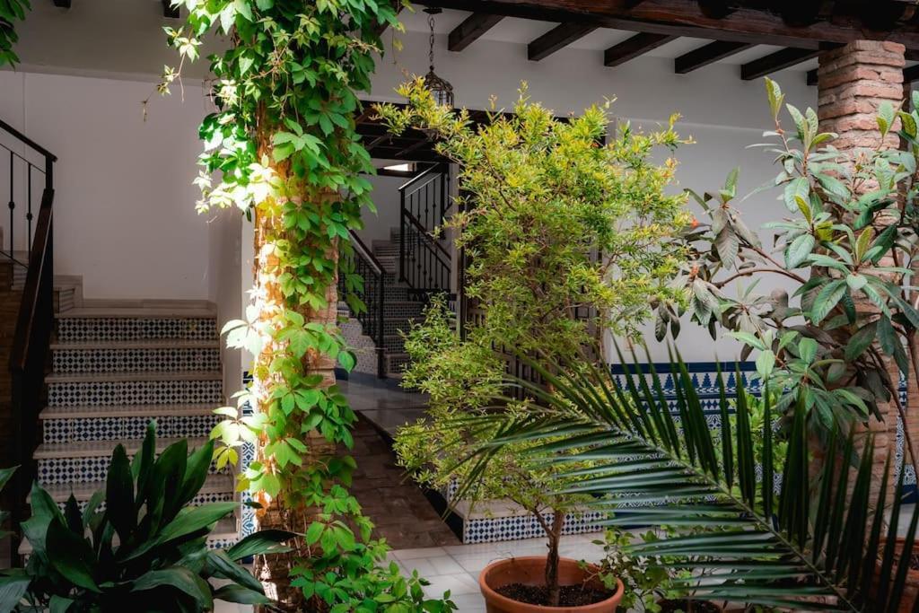 Qh Caldeleria Vieja Apartment Granada Exterior photo